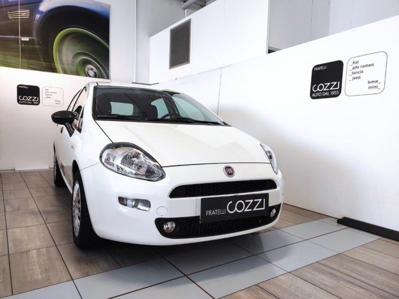 FIAT Punto 4ª serie Punto 1.3 MJT II S&S 95 CV 5 porte Street - Cozzi